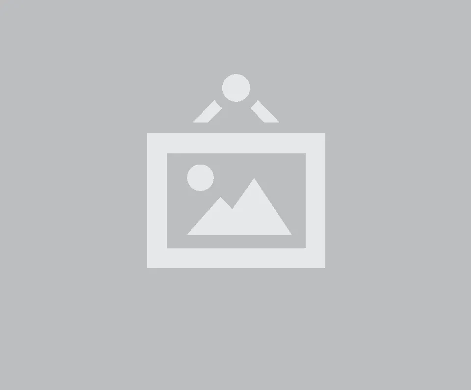 Portada de PARLANTE ZEPELIN BT 4PLG 35W